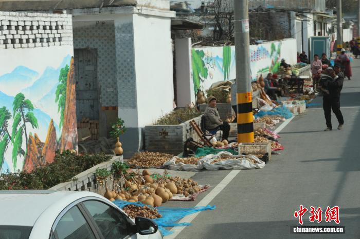 （年终观察）片区化如何推进山东乡村振兴？